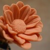 Логотип телеграм канала @food_flower_happy — Шоколадные подарки