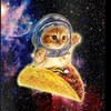 Telegram channel Покушот Будапешт logo