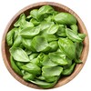 Логотип телеграм канала @foodseeds — FoodSeeds | Травы и специи | Микрозелень и Бэби-лиф | Цветы