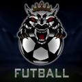 Logo saluran telegram football960 — Football