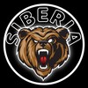 Telegram channel SIBERIAN BEAR logo