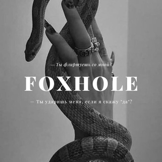 Логотип телеграм канала @fooxhol_e — 𝐅𝐨𝐱𝐡𝐨𝐥𝐞.
