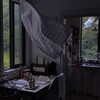 Логотип телеграм канала @for_readersss — umeyr