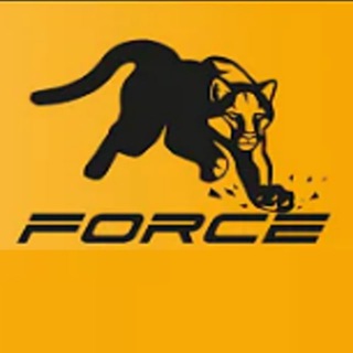 Логотип телеграм канала @force_sarabotok — Force заработок