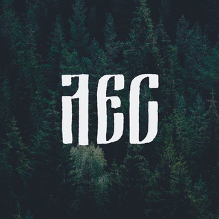 Логотип телеграм канала @forest_photo — ЛЕС