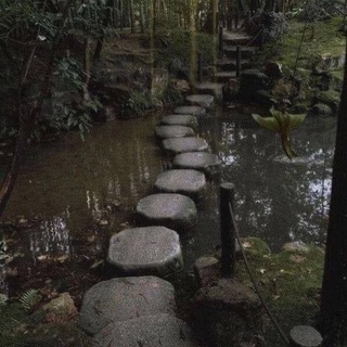 Логотип телеграм канала @forestisrains — ࿐лес когда дождь🌧