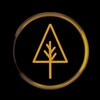 Логотип телеграм канала @forestphilsophy — Партизаны информационного леса