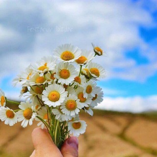 لوگوی کانال تلگرام foreverliving12345 — لَحٌيِّأّةّةّ أّفِّضّلَ ... 🌿💛