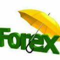 لوگوی کانال تلگرام forex0ta100 — تحلیل و آموزش رایگان فارکس
