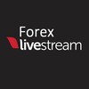 Logo of telegram channel forex_livestream — Forex News | Fundamental
