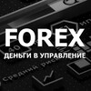 Логотип телеграм канала @forex_moneys — FOREX: ДЕНЬГИ В УПРАВЛЕНИЕ