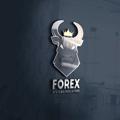 Logo saluran telegram forexallforyou — ForexForYou
