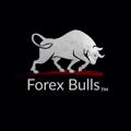 Logo saluran telegram forexbullsofficial — Forex Bulls™