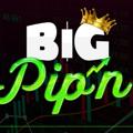 Logo saluran telegram forexfreedomlife — Big Pip'n with Bob Beckett - Trading Simplified