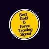Telegram channel Forex and Gold Trading Signal logo