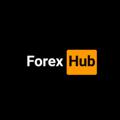Logo of telegram channel forexhubsa — 𝐅𝐨𝐫𝐞𝐱𝐇𝐮𝐛 𝐎𝐟𝐟𝐢𝐜𝐢𝐚𝐥