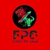Логотип телеграм канала @forexpipsgraber — FOREX PIPS GRABBER