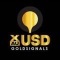 Logo saluran telegram forexsignalsxauusdy — 🔞Forex Signals XAUUSD 🌍