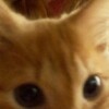Логотип телеграм канала @formeanyou — chaleur