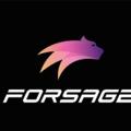 Logo de la chaîne télégraphique forsagebusdteammhdpizar - FORSAGE BUSD team