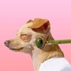 Логотип телеграм канала @forthesakeofcare — В угоду уходу