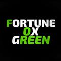 Logo saluran telegram fortune_ox_brasil — 🟩 FORTUNE OX BRASIL 🟩