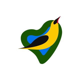 Логотип телеграм канала @forumivolga — iВолга