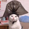 Логотип телеграм канала @forwhatthen — чтобы что
