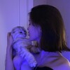 Логотип телеграм канала @fotagms — футажи от мисочки