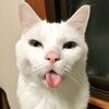 Логотип телеграм канала @fotboxxd — bryl1kbaby