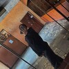 Логотип телеграм канала @fotkudlafejka — фотки для фейка