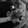 Логотип телеграм канала @fotobatlplus777 — фотобатлы👾
