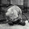 Логотип телеграм канала @fotoblackandwhite — Мир в черно-белых цветах