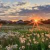 Логотип телеграм канала @fotoblogmaksshel — Фотоблог Максима Шелякина