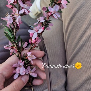 Логотип телеграм канала @fotoclubwithlove — Photo_club