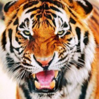 Логотип телеграм канала @fotod — Мужской Журнал