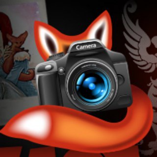 Логотип телеграм канала @fotofoxxx — 🦊 Фотолиса: сиськи и чудеса