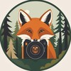 Логотип телеграм канала @fotolovushka_news — Новости из Фотоловушки