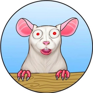 Logo of telegram channel fox0x62e — FOX - Matt Furie's Pet Rat 0x62 | CTO | PORTAL