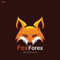 Logo saluran telegram foxforex_ir — Fox Forex ( فاکس فارکس )