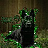 Telegram channel //☘️𑀗꤀ꤘγ ꤖ꤀𐌌ꤕ ꤀ક ꤕꤤ꤯𑀱꤀꤅᥉☘️// logo