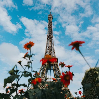 Telegram channel Французька мова 🇫🇷 logo