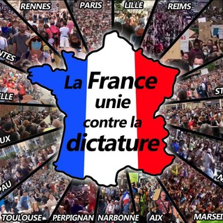Logo des Telegrammkanals franceresistancenews - France Libération News 🇫🇷