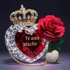 Telegram channel Frases de Amor!! 🫶❤️ logo