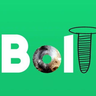 电报频道的标志 free_bolt_coin — Бесплатный BOLT
