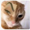 Логотип телеграм канала @free_active — Пруфы