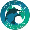 Логотип телеграм канала @free_dolphins — НА ДЕЛЬФИНЬЕЙ ВОЛНЕ