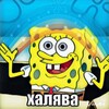 Логотип телеграм канала @free_tgm — халявная халява