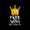 Telegram channel Free won logo