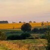 Логотип телеграм канала @freecoined — ХАЛЯВА КРИПТЫ - АНАЛИЗ РЫНКА КРИПТОВАЛЮТ
